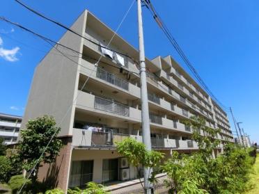 外観（南面）