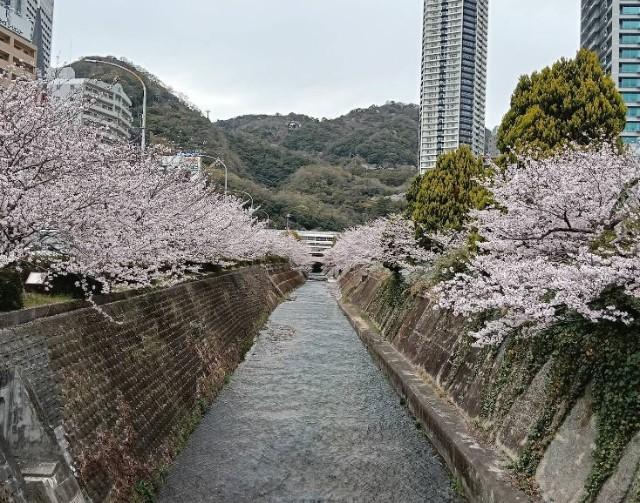 公園