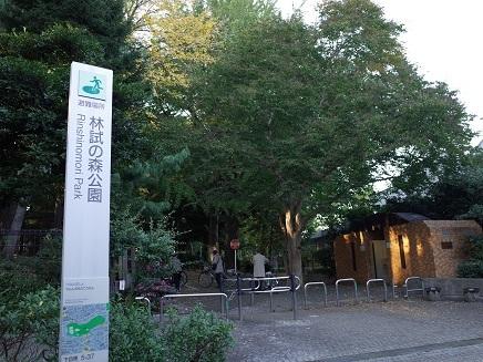 林試の森公園：850m