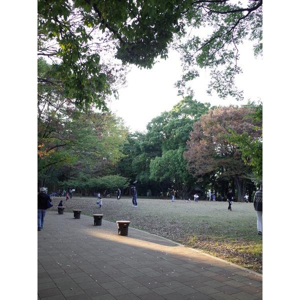 林試の森公園