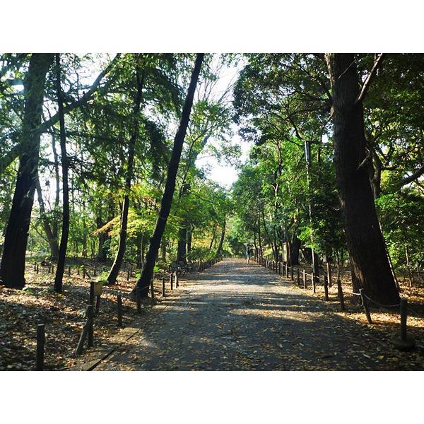 公園