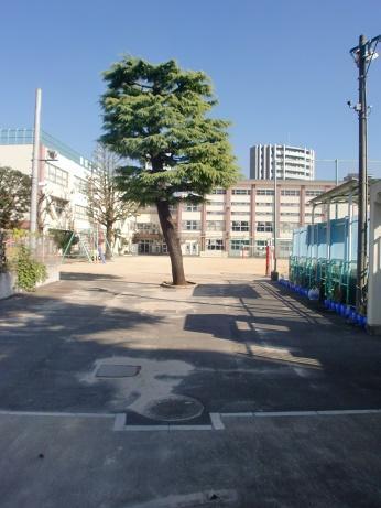 小学校