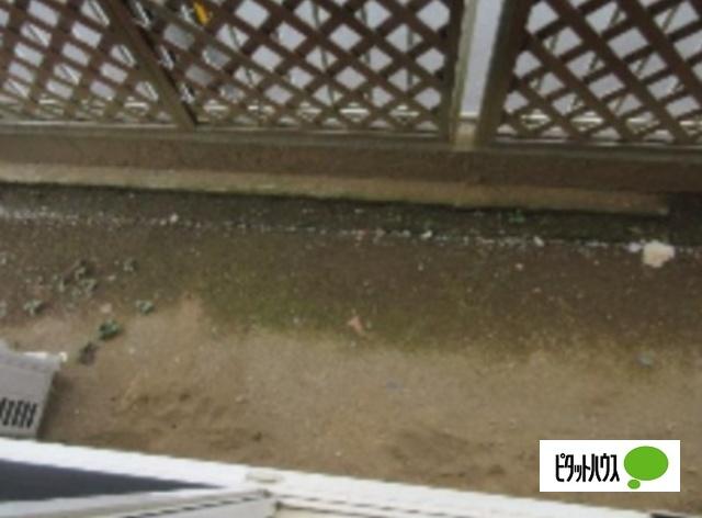 カプチュールさちが丘（101） 庭