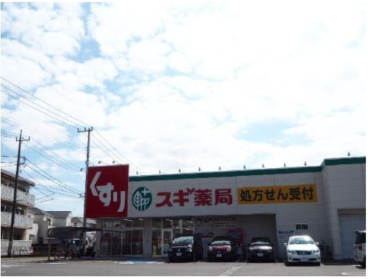 スギ薬局新橋町店：681m