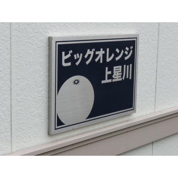 ビッグオレンジ上星川 物件画像
