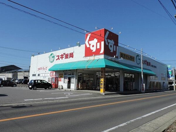 スギドラッグ市場店：491m