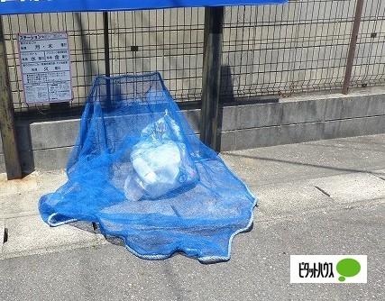 Ｌｉｍｐｉａ高峯（303） その他