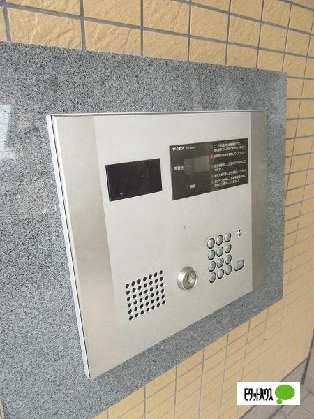 ジュネスホワイト（102） その他