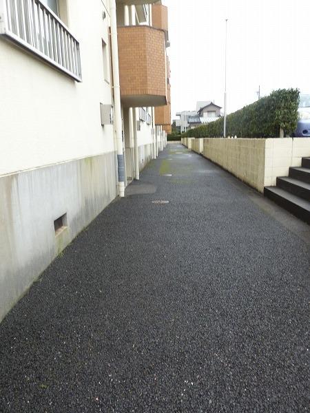 シャトー清城（103） エントランス