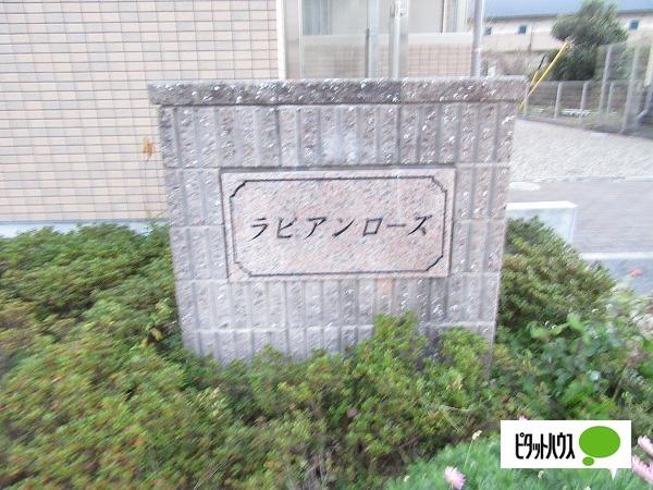 ラビアンローズ（102） その他