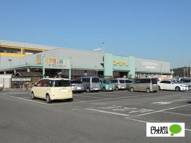 DCMカーマ阿久比店：632m