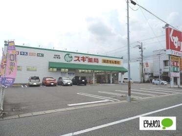 スギ薬局中町店：979m