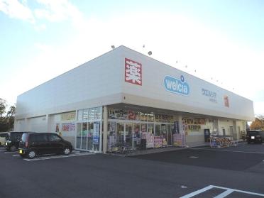 ウエルシア半田東洋町店：542m