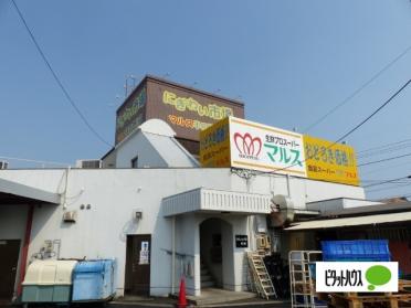 にぎわい市場マルス半田乙川店：1825m