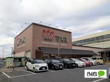 にぎわい市場マルス常滑駅前店：1029m