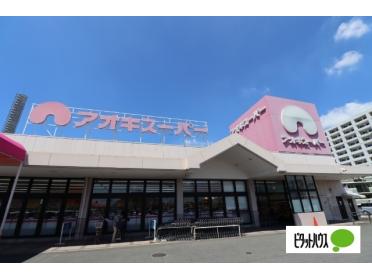 アオキスーパー大府店：762m