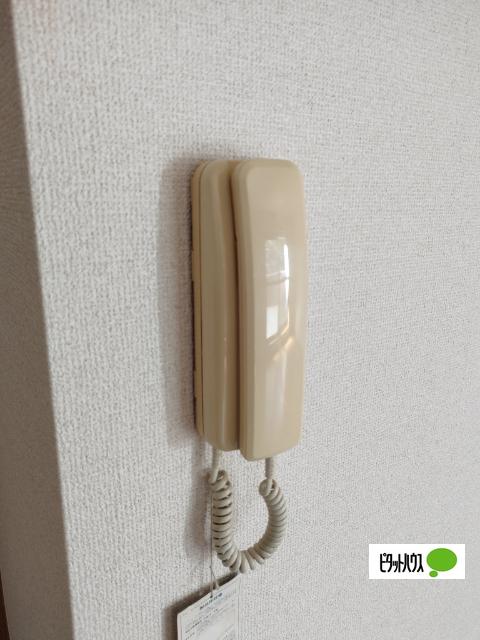 ハイツヤマオ（111） その他