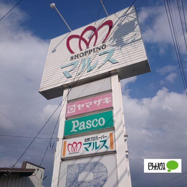 ショッピングマルス美浜奥田店：3420m