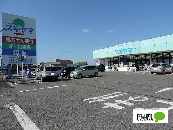 ドラッグスギヤマ奥条店：1044m