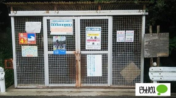 ジュネス大井（103） その他