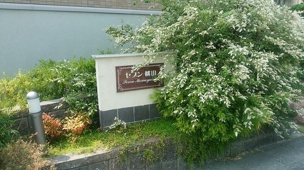seven桃山　C棟 物件画像