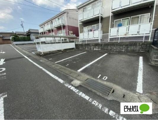 Surplus　MAKI　Ⅱ 物件画像