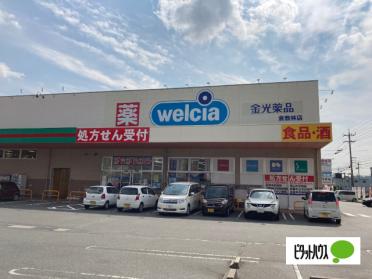 金光薬品倉敷林店：538m