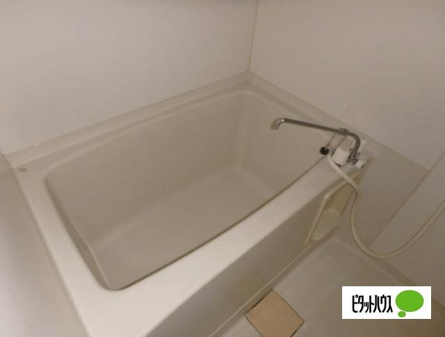 ビバリーガーデン大島B　106（106） 部屋画像