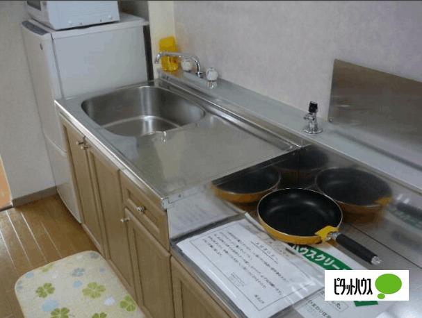 DNパレスD（D105） 部屋画像