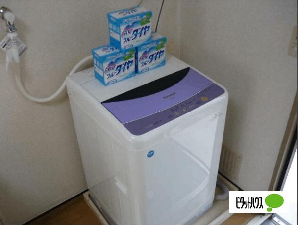 DNパレスD（D105） 部屋画像