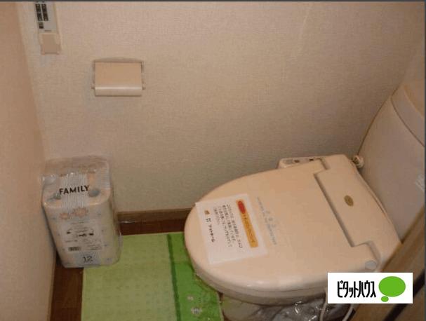 DNパレスD（D105） 部屋画像