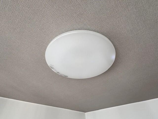 シエスタⅡ（3B） 部屋画像