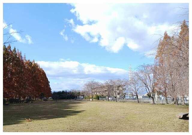 石垣池公園：1000m