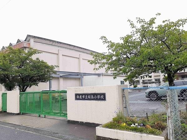 桜島小学校：530m