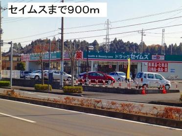 セイムス大網みずほ台店：900m