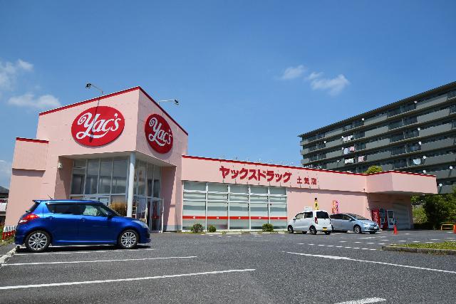 ヤックスドラッグ土気店：595m