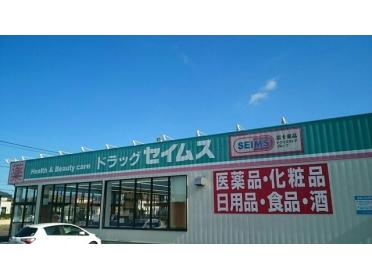 ドラッグセイムス大網みずほ台店：800m