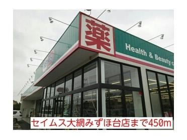 セイムス大網みずほ台店：450m