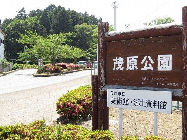 茂原公園：1600m
