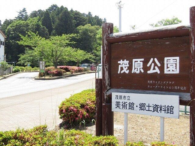 茂原公園：900m