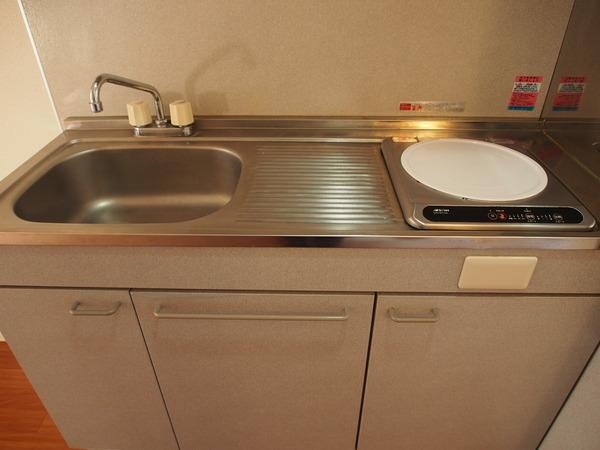 ネオハイム湘南　Ｂ棟（101） 部屋画像