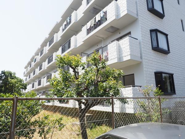 湘南深沢駅より徒歩10分 築34年10ヶ月 4階建の賃貸物件