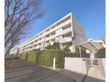 人気の分譲マンション
