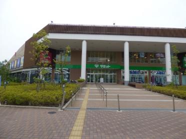 サミット横浜岡野店：273m