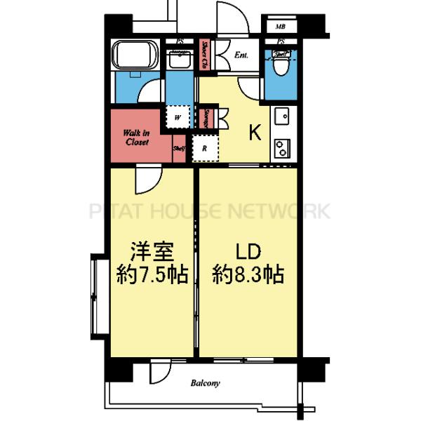 南向きの角部屋です★