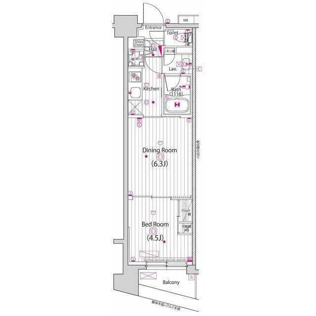 ご家族様向けです！
