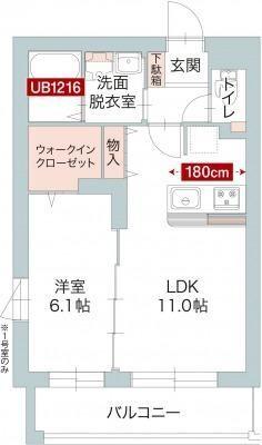 ご家族様向けです！