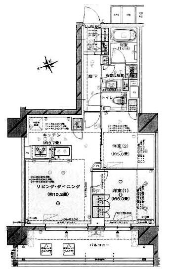 ご家族様向けです！