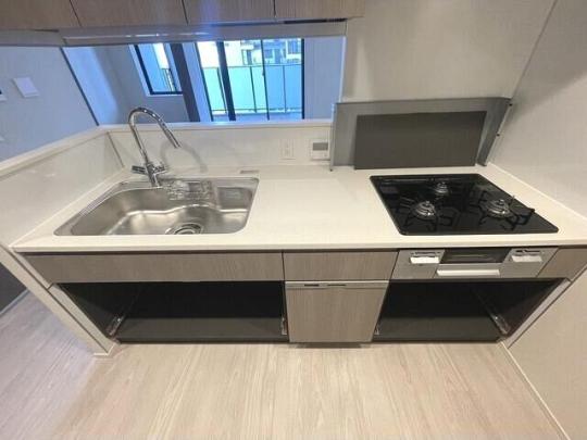 �V�X�e���L�b�`���ł�