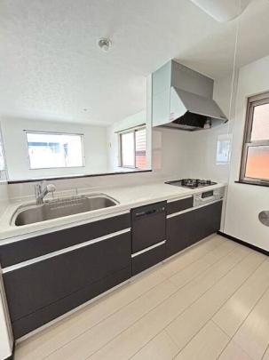 �V�X�e���L�b�`���ł�